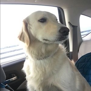 Meet your Posher, Matthew